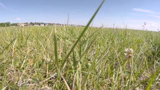 Gimbal v5 and test flight