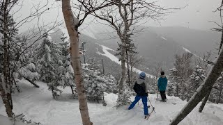 Whiteface Mountain - Slide View Glades