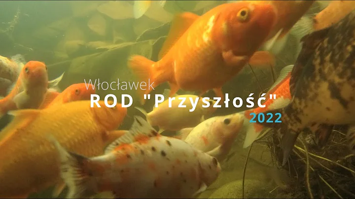 ROD "Przyszo" Wocawek 2022