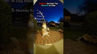 Top 5 Best Sora AI Clips 🤯🔥 #ai