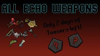 Everything you NEED to know about the Echo weapons