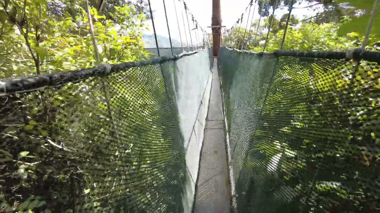 TREKKING World Heritage Site KINABALU PARK. Kipungit Waterfall, Poring Canopy | EXPLORE | MALAYSIA