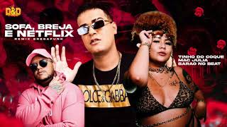 Tinho Do Coque E Mac Jlia  Sof Breja E Netflix  Remix Brega Funk