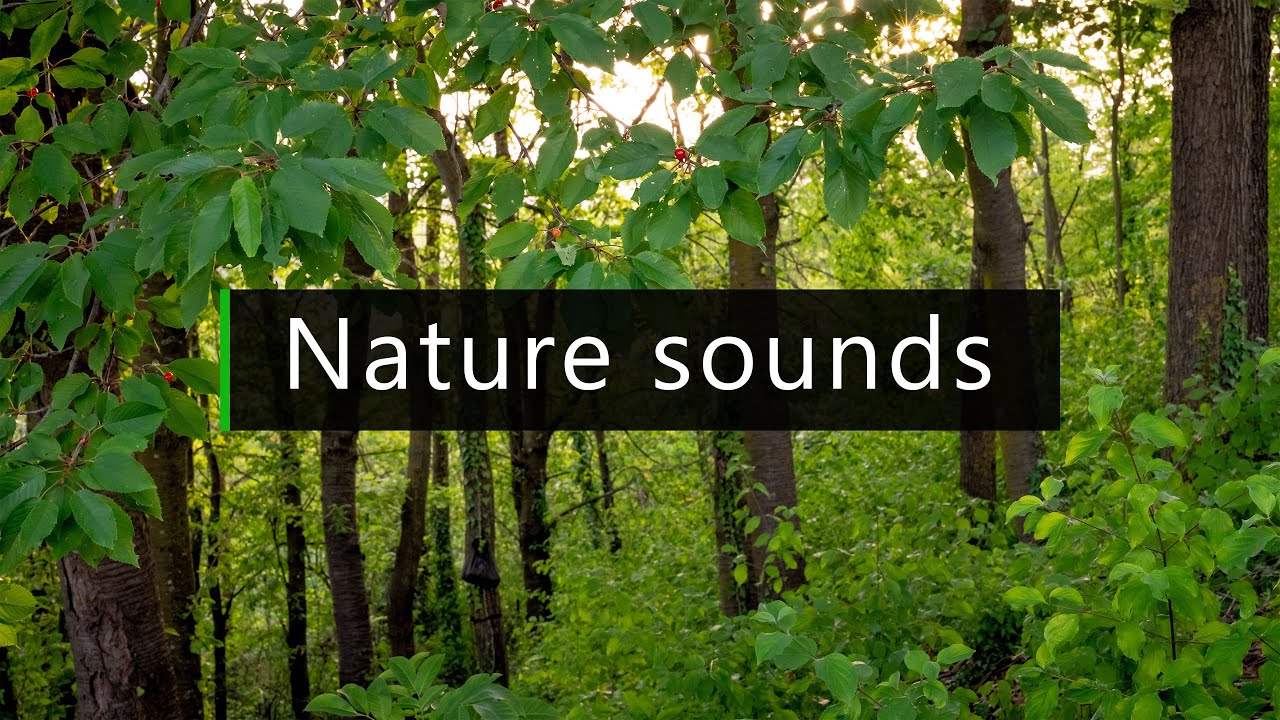 Italian countryside sounds