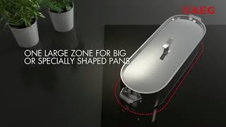 Aeg Maxisense Bridge Function Dialinh.com 0925513985