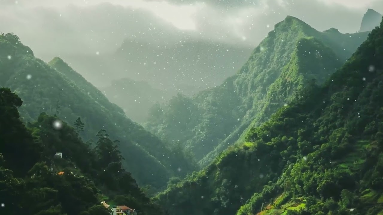 Rain & Snow in a Single Image | After Effects CC Particle World
