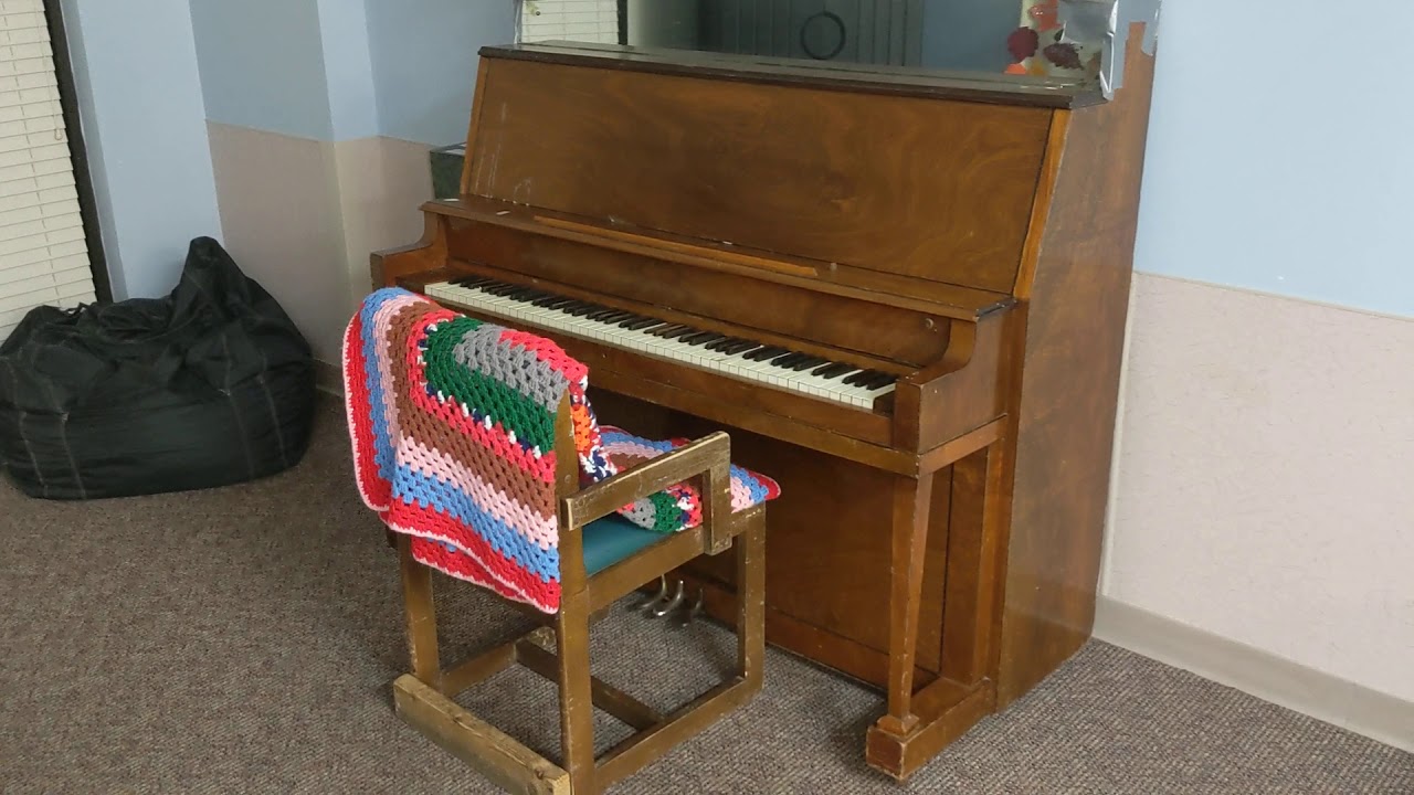 Commercial Mold Remediation and Decontamination Project