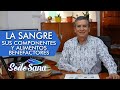 LA SANGRE: SUS COMPONENTES  Y  ALIMENTOS BENEFACTORES - REMEDIOS NATURALES - ALIMENTACION SALUDABLE