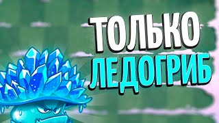 :   Feastivus - Frosty Prelude,    ! Plant's vs Zombie's 2!