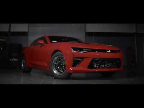 Whatever You Drive - ProCharger Dominates