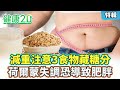 【特輯】減重要小心！燕麥奶、杏仁豆腐、加工食品藏糖分！醫師分享瘦身菜單！荷爾蒙失調恐導致肥胖！｜健康2.0 #鄭凱云 #陳欣湄 #韋汝 #游能俊醫師 #魏士航 醫師  #陳君琳 減重醫師