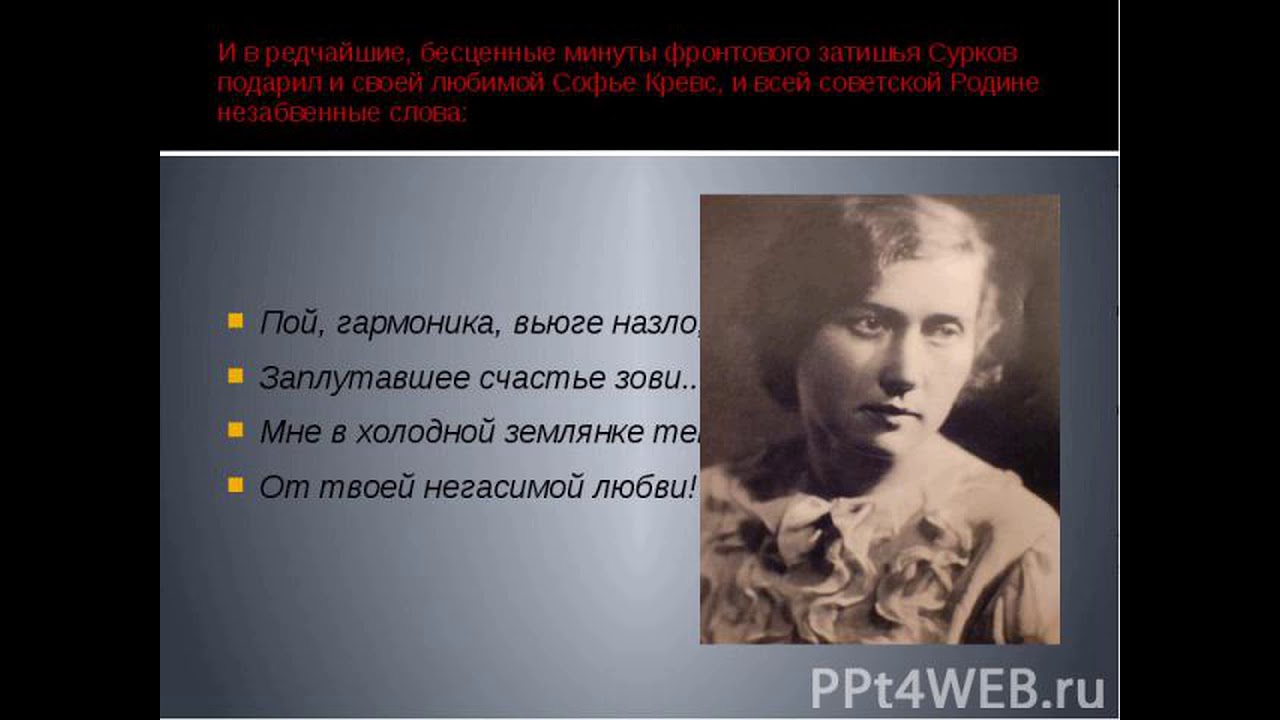 заплутавшее счастье текст