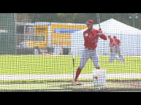 Video: Všechny Důvody, Proč Chytit Jarní Tréninkovou Hru MLB V Clearwater Na Floridě