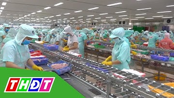 Công nhân tại KCN Sa Đéc trở lại tại sau Tết đạt từ 80 đến 100% | THDT
