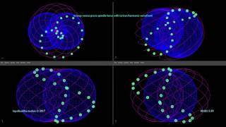 vesica piscis spindle torus harmonic wavefront extended
