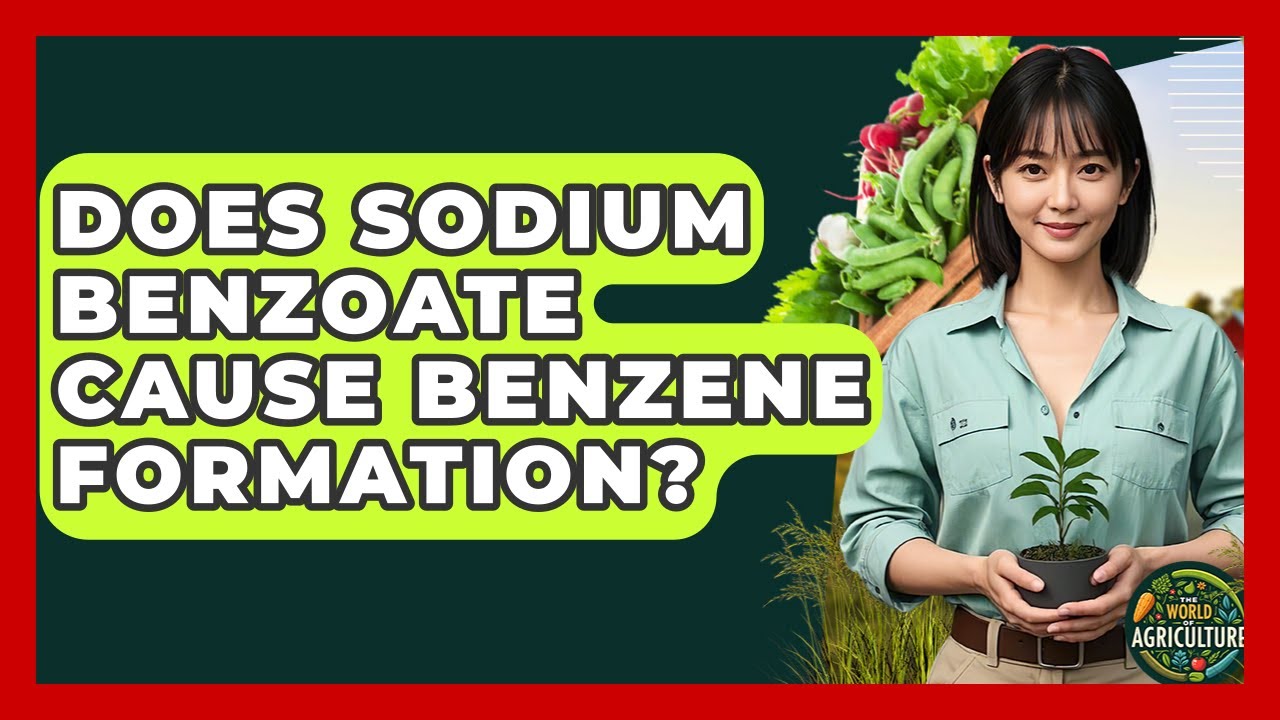Does Sodium Benzoate Cause Benzene Formation? - The World of Agriculture