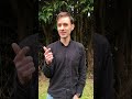 Waarom vinden duiven altijd de weg naar huis? Meer #wetenschap op universiteitvanvlaanderen.be