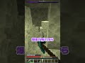 ウィザーをズルして倒そうとしたら...【マインクラフト】#shorts