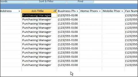 How to Create a Microsoft Access Form or Report From Filtered Records