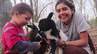 The JOY of HOMESTEADING - 1st Lamb of 2023