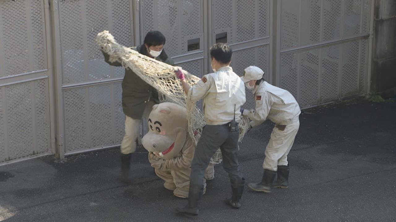 名古屋・東山動植物園　コビトカバが脱走したと想定した訓練