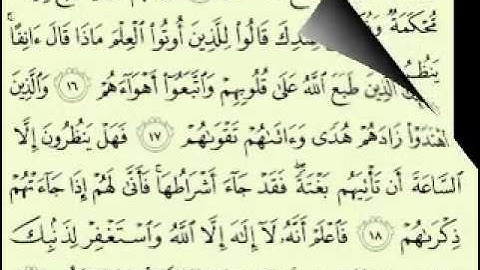 القران الكريم ( سورة محمد ) بصوت الشيخ ماهر المعيقلي