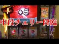【バイオ5】やっと引けた中段チェリー1/32768!!結果やいかに!?