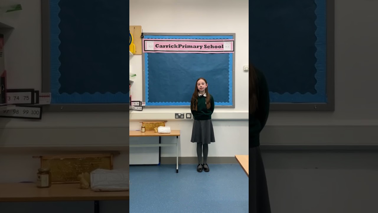 Ava Mackin P7 Carrick Primary School, Why are bees important?