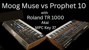Moog Muse vs Prophet 10 feat Dobbie with ROLAND TR 1000 Akai MPC