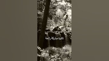 القرآن الكريم  #المصحف #الرحمن #اكسبلور #القرآن_الكريم