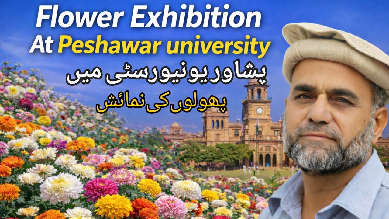 Chrysanthemum Exhibition At Peshawar University | Peshawar University Main Phulon Ki Numaish 