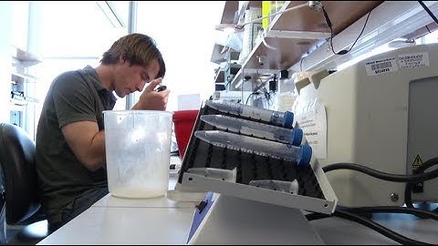 Systems Biology: Moving science forward