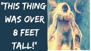 Famous 10 True Stories of Strange Creatures In The Woods! Profile