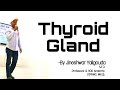 Thyroid gland l by l dr jineshwar yaligouda md professor  hod department of anatomy