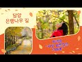 담양은행나무길, 가장 이쁜별을 너에게 ,마리탱