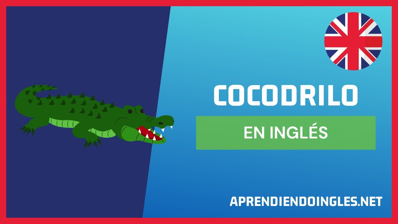 Como Se Dice Cocodrilo En Inglés