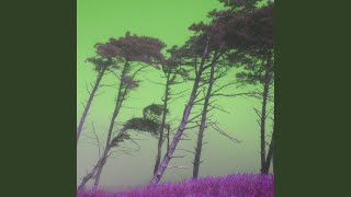 Sprightly Positive Trips