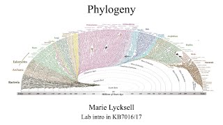 KB7016/17 - Lab intro - Phylogeny