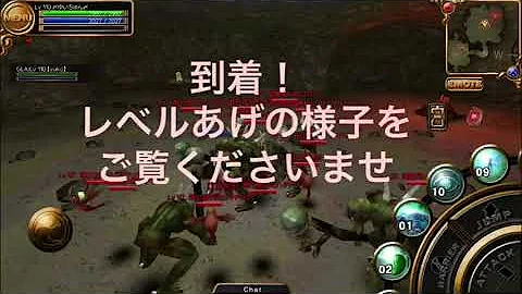 イザナギオンライン レベル上げ