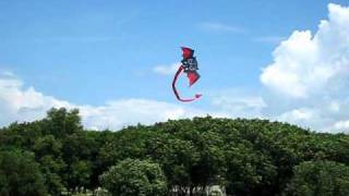A Quad Vampire Devil in flight by Philip Tang