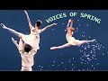 Voices of spring  amazing royal ballet stars o sullivan cojocaru choe galeazzi sambe campbell etc