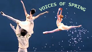 Voices of Spring - Amazing Royal Ballet Stars O' Sullivan Cojocaru Choe Galeazzi Sambe Campbell etc.