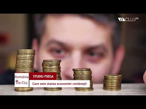 Studiu FSEGA: Economia