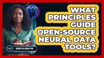 What Principles Guide Open-Source Neural Data Tools?