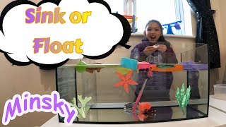 Sink Or Float L Fun Kids Science S With Minsky L Toys