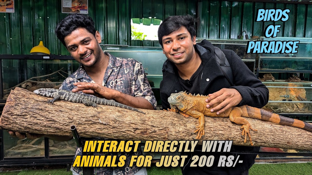 Birds of paradise animal interaction and education center full detail video entry for just 200Rs/-