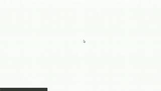 Ramirez Shepardizing Video