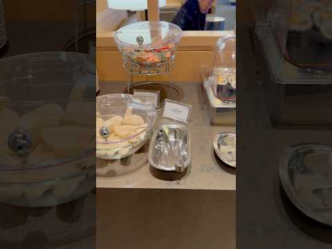 United Club Lounge Naritajapan Travel Travelblog Youtubeshorts 
