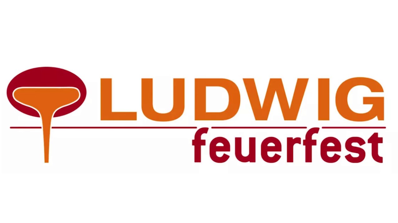 Kaminreparatur Anleitung - Schamottesteine reparieren mit feuerfesten Mörtel
