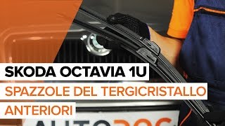Come sostituire Spazzole tergicristallo Skoda Octavia 1z3 - tutorial